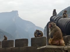 -白帝城·瞿塘峡景区