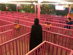 游乐设施-北京欢乐谷