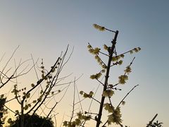 -陆家嘴空中步行连廊