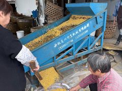 -苏州市吴中区光福窑上花果蜜饯厂