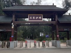 -大京沙滩