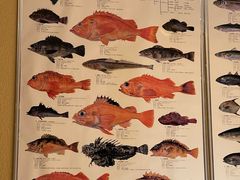 -镹·鱼料理  国产鱼使用店