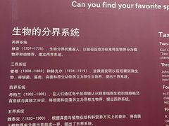 -上海自然博物馆