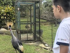 -吉隆坡雀鸟公园