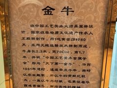 -华西村