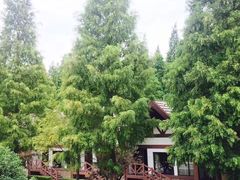 -太阳岛度假酒店