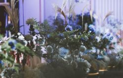 -艾米婚纱&婚礼策划