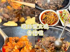 -桃源山庄·水蜜桃采摘·柴火鸡·烧烤团建(龙泉山店)