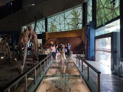 -湖南省地质博物馆