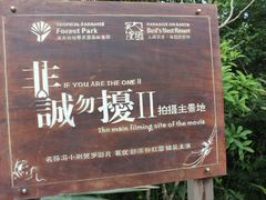 -三亚亚龙湾人间天堂鸟巢度假村