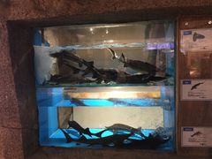 -郑庄脂渣海鲜楼(九水路店)