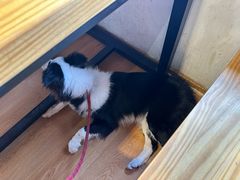 -勺子米线·云南传统小吃市集(四方街店)