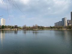 -洋湖国家湿地公园