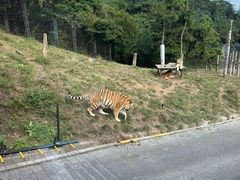 -大连森林动物园