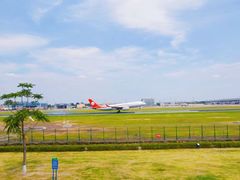 -空港花田景区