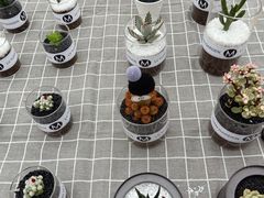 -三圣花乡旅游区