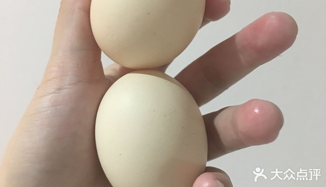 鬼怪👹#开胃#菜谱系列：柴鸡蛋炒木耳。