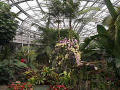 -北京植物园-展览温室