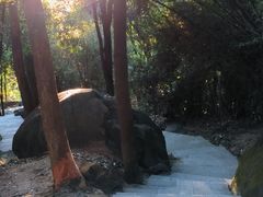 -火炉山森林公园