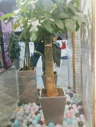 -慕名造型