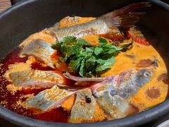 -毛辣果·酸(OHA复兴西路店)