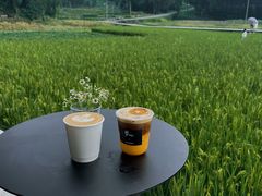 -MOJ coffee(瓯海泽雅水碓坑店)