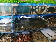 水产区-蟹谢蒸鲜自助餐厅