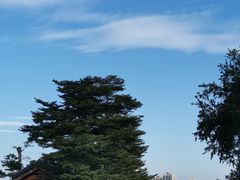 -飞来湖湿地公园
