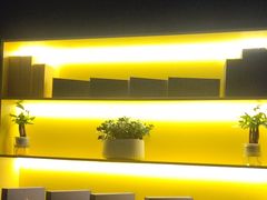 -梵猫·新养生(加州广场店)