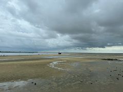 -北海金海湾红树林生态旅游区