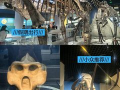 -国家自然博物馆