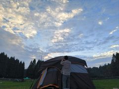 -武陵山森林公园