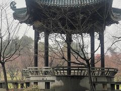 -无锡梅园公园