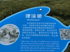 -北海金海湾红树林生态旅游区