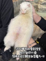 -Zoolung Zoolung动物主题公园(海信广场店)