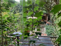 -谷咖啡·鲜花绿植花园餐厅