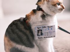 -Again Coffee Roaster(香蜜湖店)