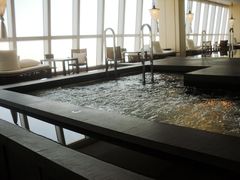 -上海柏悦酒店