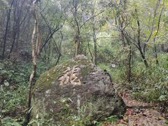 -东钱湖旅游度假区