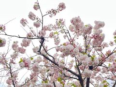 -广富林郊野公园