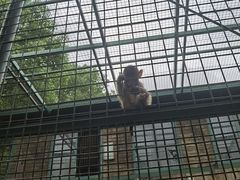 -南京金牛湖风景区