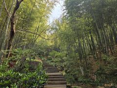 -天目湖山水园