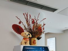 -北京观赏动物医院·24小时大型综合·猫专科·异宠专科
