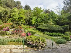 -铁山坪森林公园