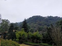 -缙云山景区