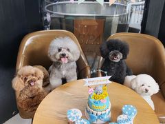 -Oh My Dog宠物沙龙(伊珊娜皮毛护理店)