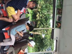 iphone_upload_pic-河川生态园