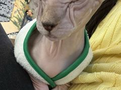 -平行世界·猫咖(首经贸店)