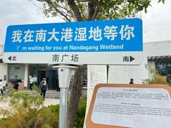 -南大港湿地风景区