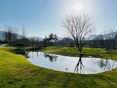 -雅达·阳羡溪山小镇中心